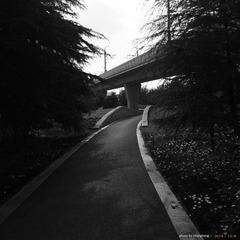 DSCF9568_