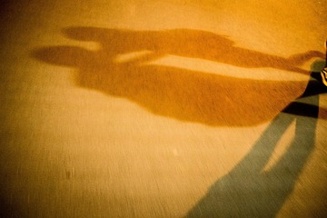 DSCF3262_