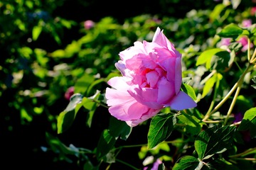 51C223C9-E5D8-4152-84DF-FB03EE09AF52/L0/001