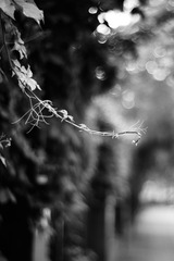 40894B32-5339-42A3-AC2C-C05D4F82CD84/L0/001