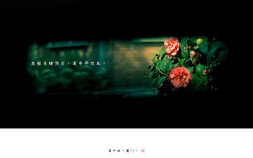 我躲在缝隙后，看年华绽放