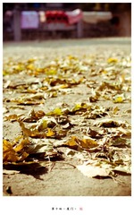 老去的春天 aging
