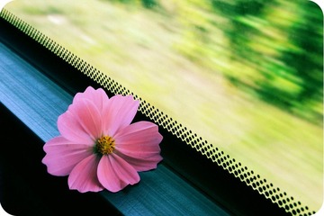 little pinky thing