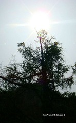 sunshine