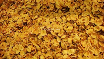 the ocean of cat's ears