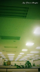 broken lights