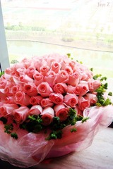 rose1
