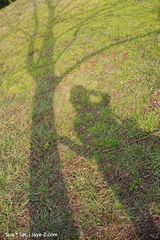 shadow