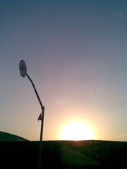 the Sunset