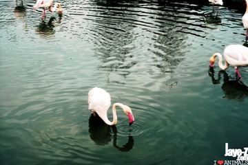 Reflect