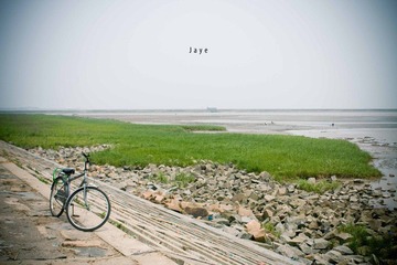 海边的单车 bicycle at the beach...