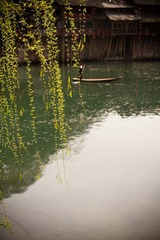 IMG_8187