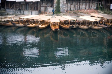 IMG_7908