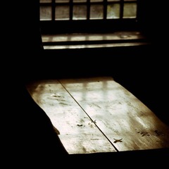 IMG_8341