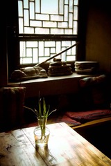 IMG_8319