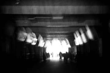 IMG_8386