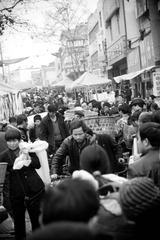 IMG_8423