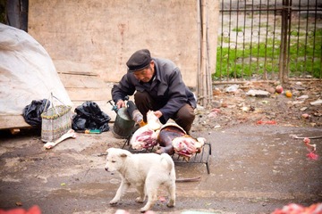 IMG_8416