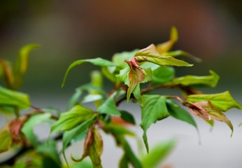 P1040553