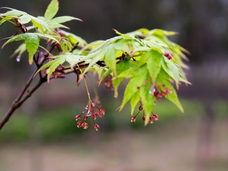 P1040817