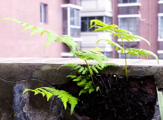 P1050020