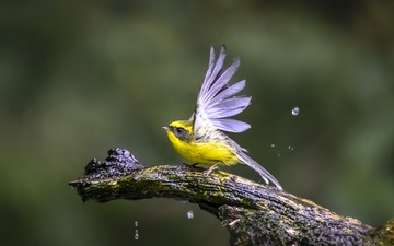 2578