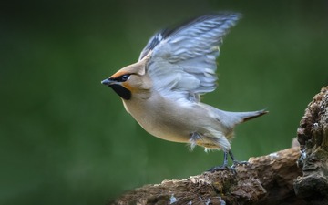 3254