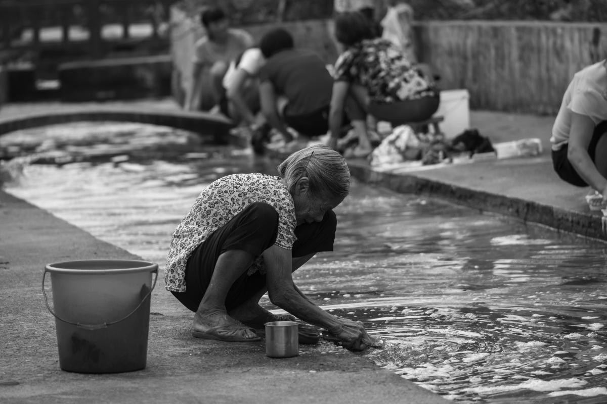 清晨,一位老人在荷塘边洗衣.