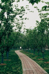 2B012F2F-E6A6-4E87-9527-FF3EFC70E94D/L0/001