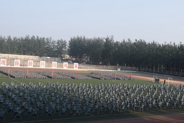 2976261