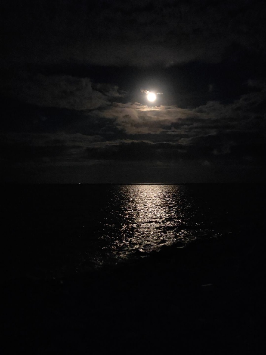 有人夜里看海