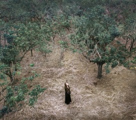DJI_0002