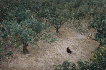 DJI_0007
