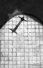 DJI_0044