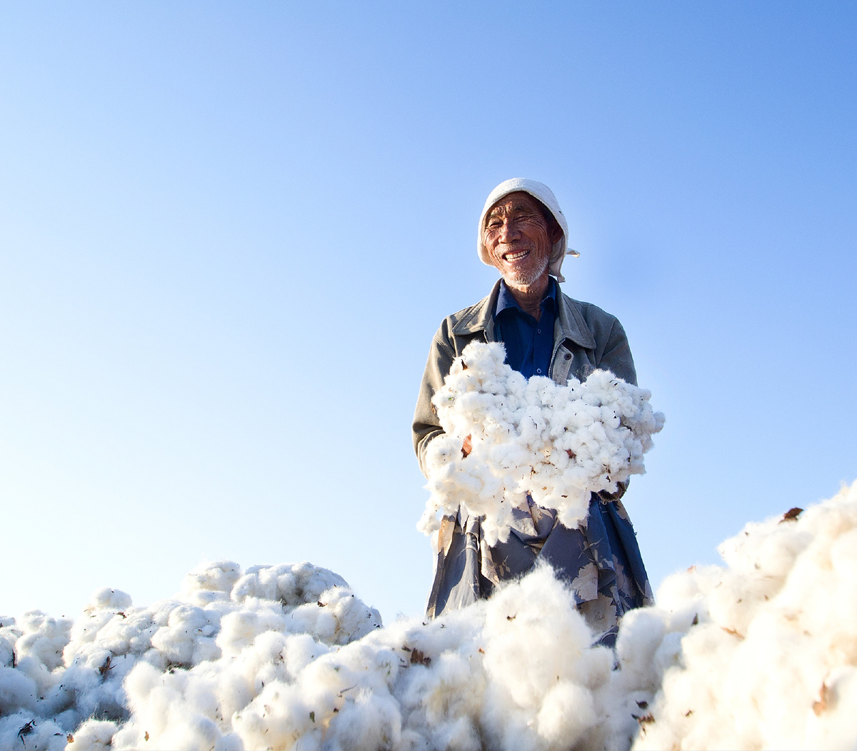 中国的棉花采摘棉农丰收后的笑脸