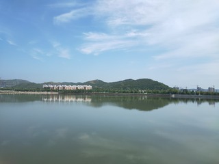 539736