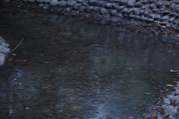 3FD7517E-DF0A-4DBF-8C9B-FC97D4FD9700/L0/001