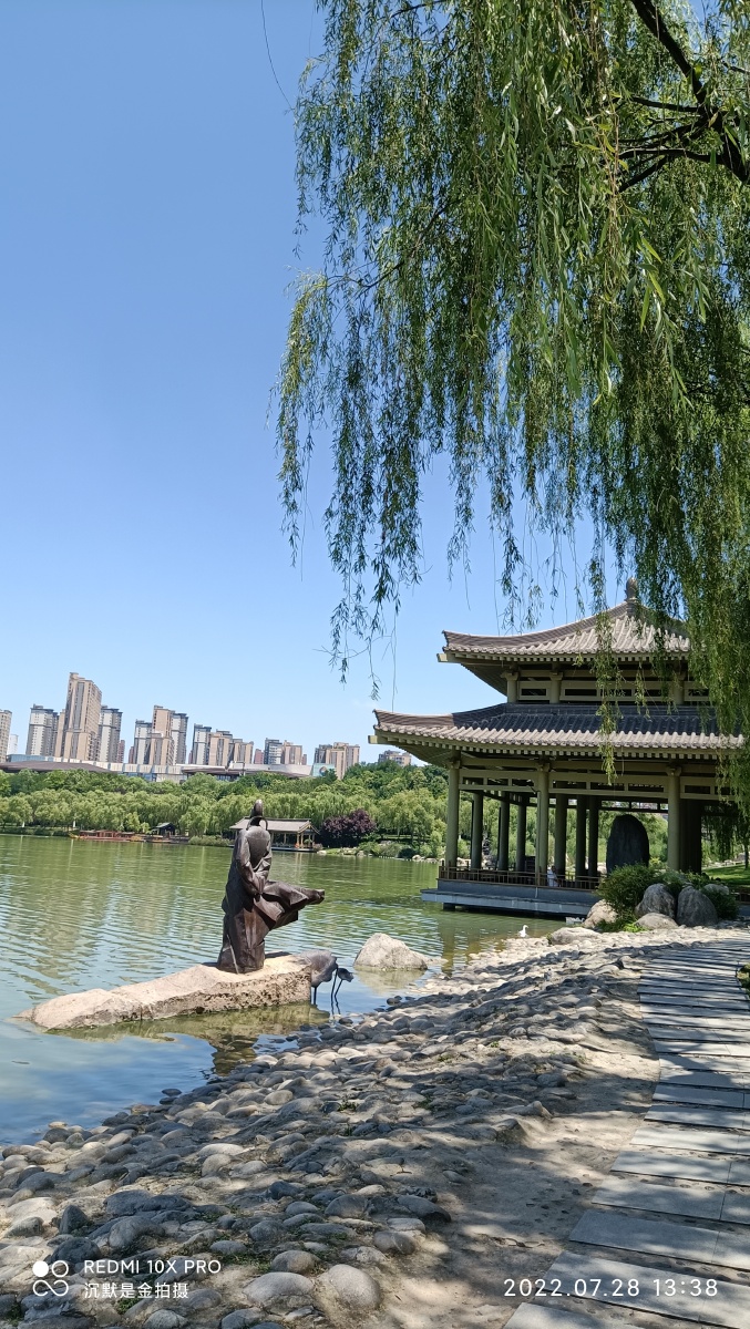 曲江池遗址公园夏天尽显绿色