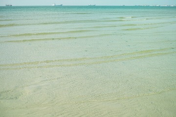 透明海岸