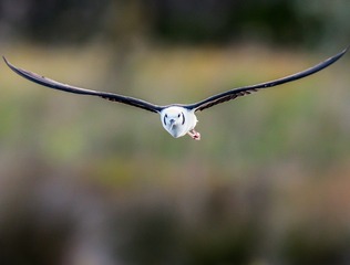2510453