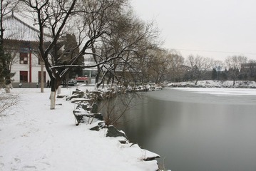 校园的雪景-2