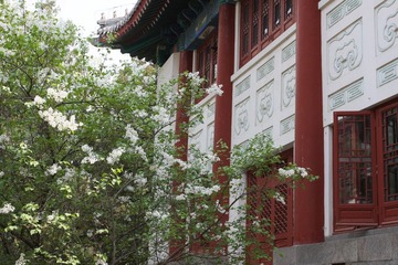 校园的春色-3