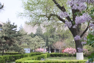 校园的春色-2