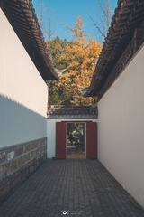 1043663