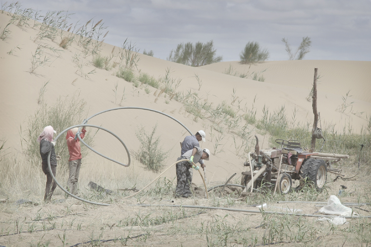 治沙- 思梦清风 - 图虫