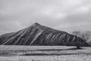 L1002365