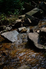 _DSC2184