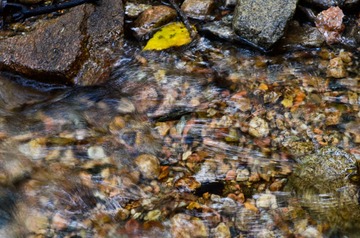 _DSC2321