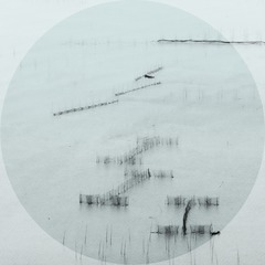 “DSC_0256”为智能对象-1