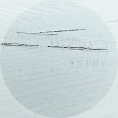 “DSC_0257”为智能对象-1